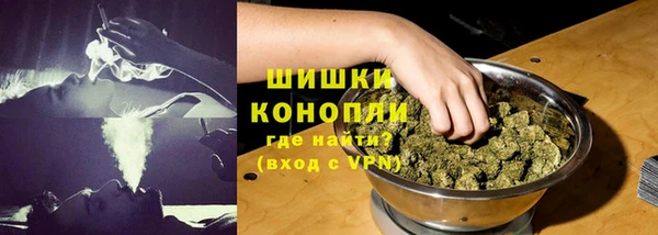 ПСИЛОЦИБИНОВЫЕ ГРИБЫ Вязьма