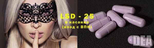 винт Вяземский