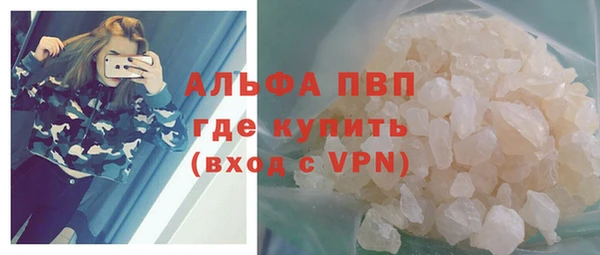 ПСИЛОЦИБИНОВЫЕ ГРИБЫ Вязьма