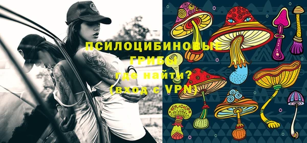 винт Вяземский