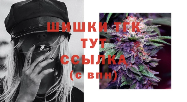 ПСИЛОЦИБИНОВЫЕ ГРИБЫ Вязьма